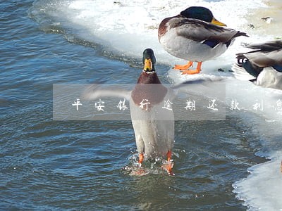 平安银行逾期还款利息计算 平安银行逾期还款利息计算