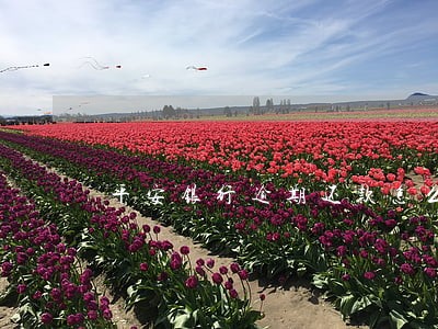 平安银行逾期还款怎么样 平安银行逾期还款怎么样
