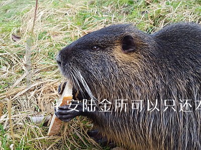 平安陆金所可以只还本金 平安陆金所可以只还本金