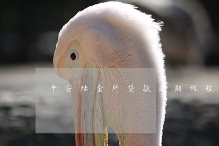 平安陆金所贷款逾期催收 平安陆金所贷款逾期催收