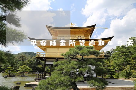 平安陆金所贷逾期45天 平安陆金所贷逾期45天
