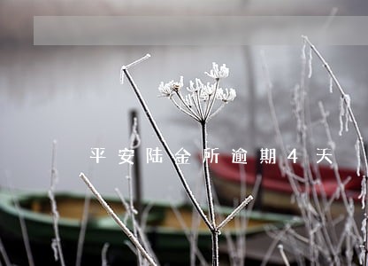 平安陆金所逾期4天 平安陆金所逾期4天