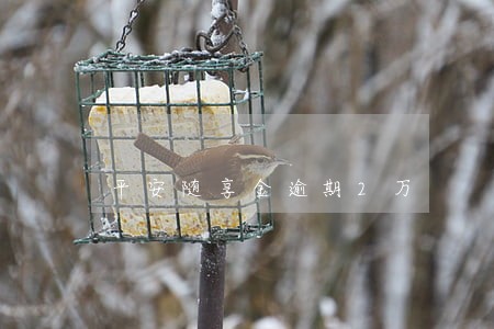 平安随享金逾期2万 平安随享金逾期2万
