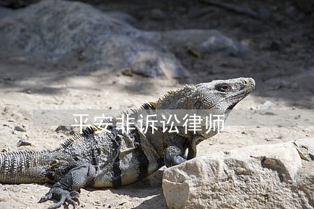 平安非诉讼律师 平安非诉讼律师