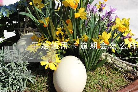 平定信用卡逾期会怎么样 平定信用卡逾期会怎么样
