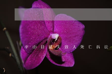 平山县过失致人死亡诉讼律师 平山县过失致人死亡诉讼律师