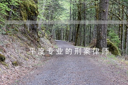 平度专业的刑案律师 平度专业的刑案律师