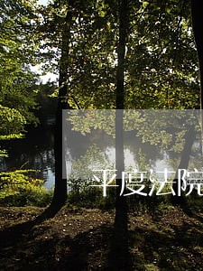 平度法院十二月份判刑人员 平度法院十二月份判刑人员