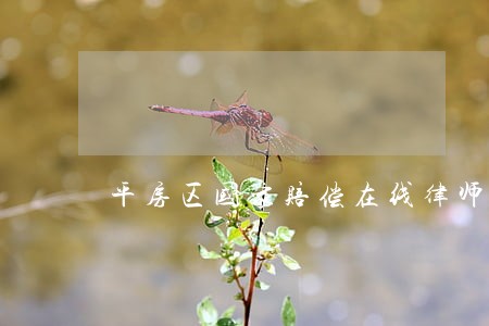 平房区国家赔偿在线律师咨询 平房区国家赔偿在线律师咨询