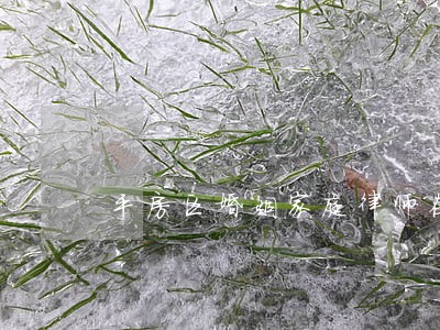 平房区婚姻家庭律师在线免费咨询 平房区婚姻家庭律师在线免费咨询