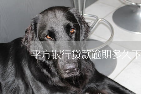 平方银行贷款逾期多久下律师函 平方银行贷款逾期多久下律师函
