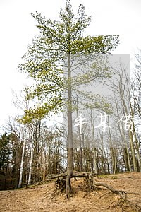 平某借款逾期8万 平某借款逾期8万