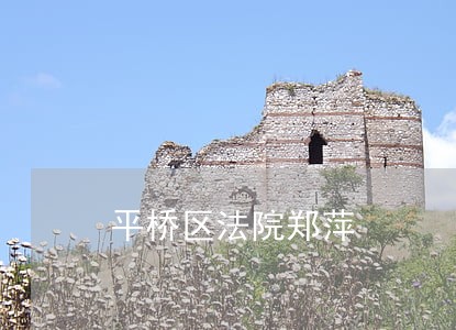 平桥区法院郑萍 平桥区法院郑萍