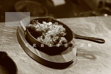 平武县法律咨询调解