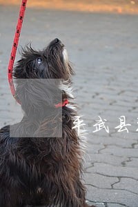 平武县环境污染在线律师 平武县环境污染在线律师