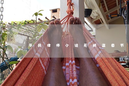 平民律师小说无防盗章节 平民律师小说无防盗章节
