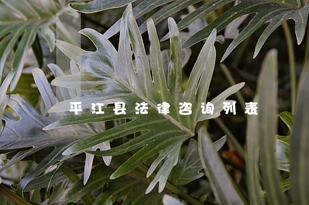 平江县法律咨询列表 平江县法律咨询列表