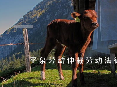 平泉劳动仲裁劳动法律师咨询 平泉劳动仲裁劳动法律师咨询