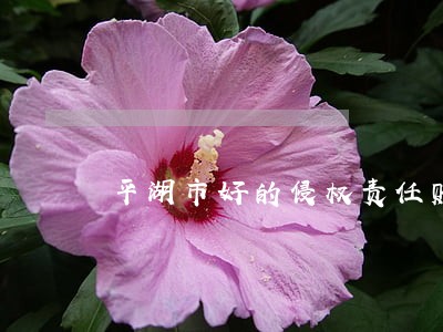 平湖市好的侵权责任赔偿律师在线 平湖市好的侵权责任赔偿律师在线