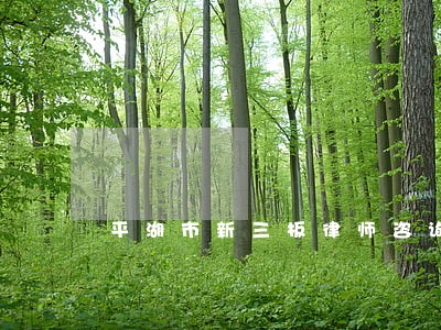 平湖市新三板律师咨询电话 平湖市新三板律师咨询电话