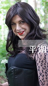 平湖律师事务所 平湖律师事务所