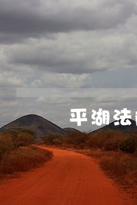 平湖法院拍卖房产 平湖法院拍卖房产