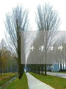 平潭律师免费咨询 平潭律师免费咨询