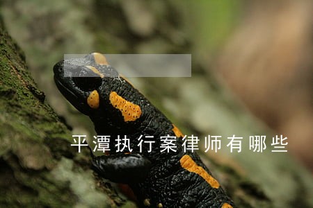 平潭执行案律师有哪些 平潭执行案律师有哪些