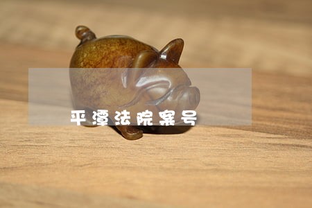 平潭法院案号