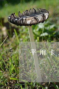 平用卡3800逾期