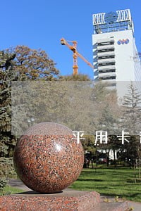 平用卡逾期一个月要锁卡