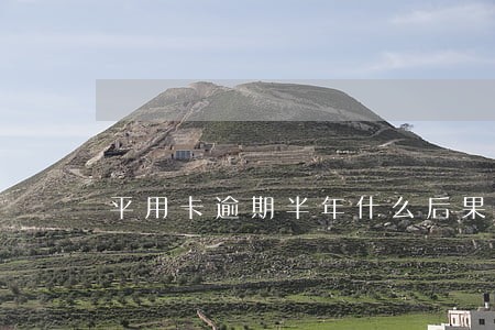 平用卡逾期半年什么后果