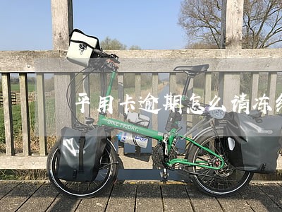 平用卡逾期怎么请冻结