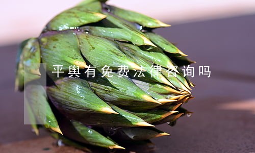 平舆有免费法律咨询吗 平舆有免费法律咨询吗