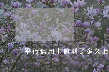 平行信用卡逾期了多久上征信 平行信用卡逾期了多久上征信
