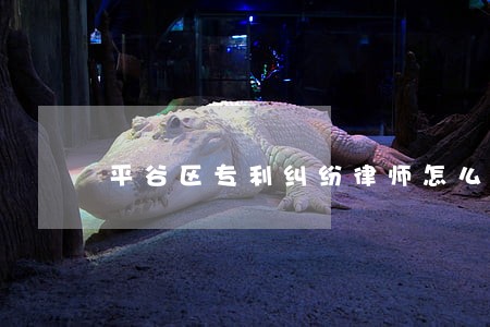 平谷区专利纠纷律师怎么收费 平谷区专利纠纷律师怎么收费
