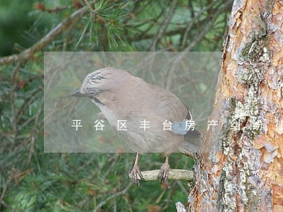 平谷区丰台房产纠纷律师费用多少 平谷区丰台房产纠纷律师费用多少
