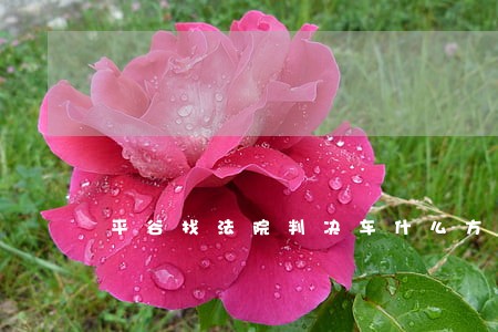 平谷找法院判决车什么方式好 平谷找法院判决车什么方式好