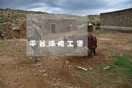 平谷法院工资 平谷法院工资