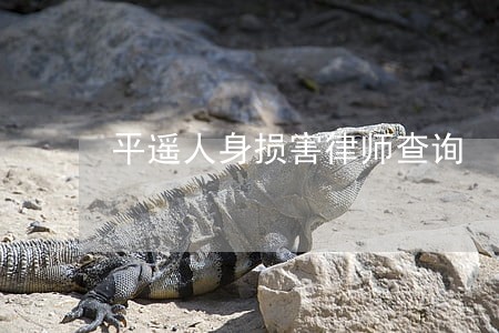 平遥人身损害律师查询 平遥人身损害律师查询