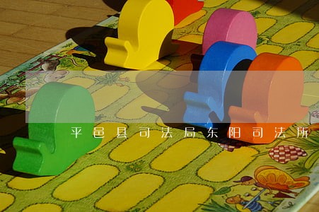 平邑县司法局东阳司法所
