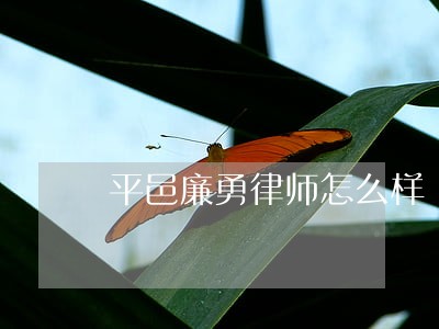 山东至平律师事务所 县城明德路中段 厉毅4 山东鲁南律师事务所 县城