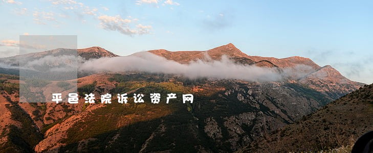 平邑法院诉讼资产网