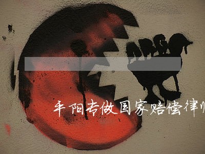 平阳专做国家赔偿律师 平阳专做国家赔偿律师
