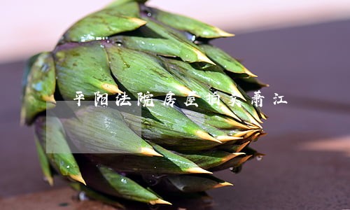 平阳法院房屋拍卖萧江 平阳法院房屋拍卖萧江