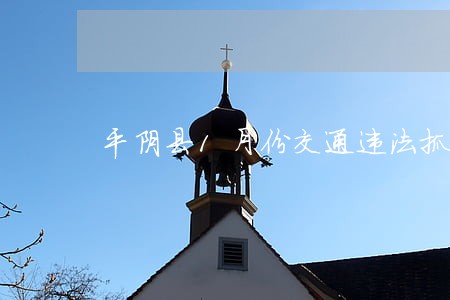 平阴县1月份交通违法抓拍大曝光