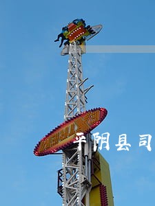 平阴县司法局祝全县人民新春愉快