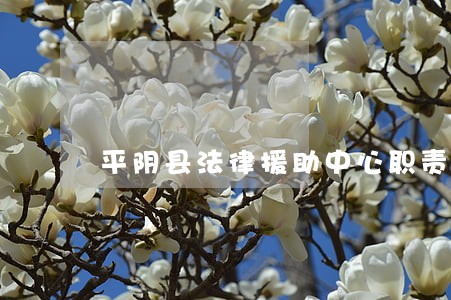 平阴县法律援助中心职责 平阴县法律援助中心职责