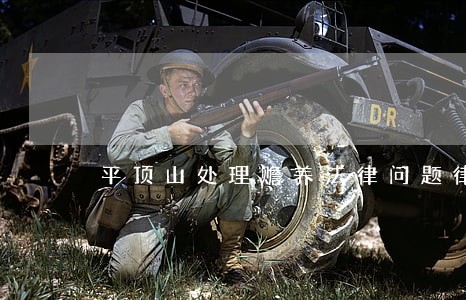 平顶山处理赡养法律问题律师 平顶山处理赡养法律问题律师