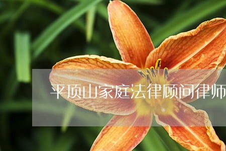 平顶山家庭法律顾问律师